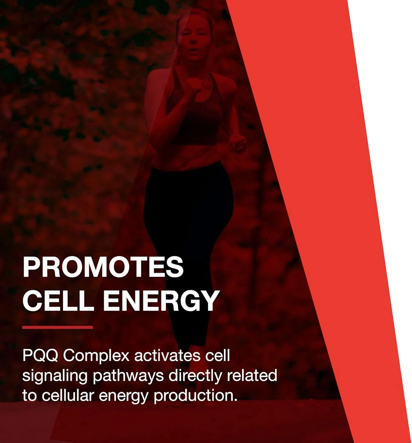 کمپلکس PQQ Protocol for Life Balance - سلامت میتوکندری - حاوی CoQ10 و ال کارنیتین - ویتامین B - مکمل های انرژی - 30 کپسول گیاهی کمپلکس PQQ Protocol for Life Balance - سلامت میتوکندری - حاوی CoQ10 و ال کارنیتین - ویتامین B - مکمل های انرژی - 30 کپسول گیاهی