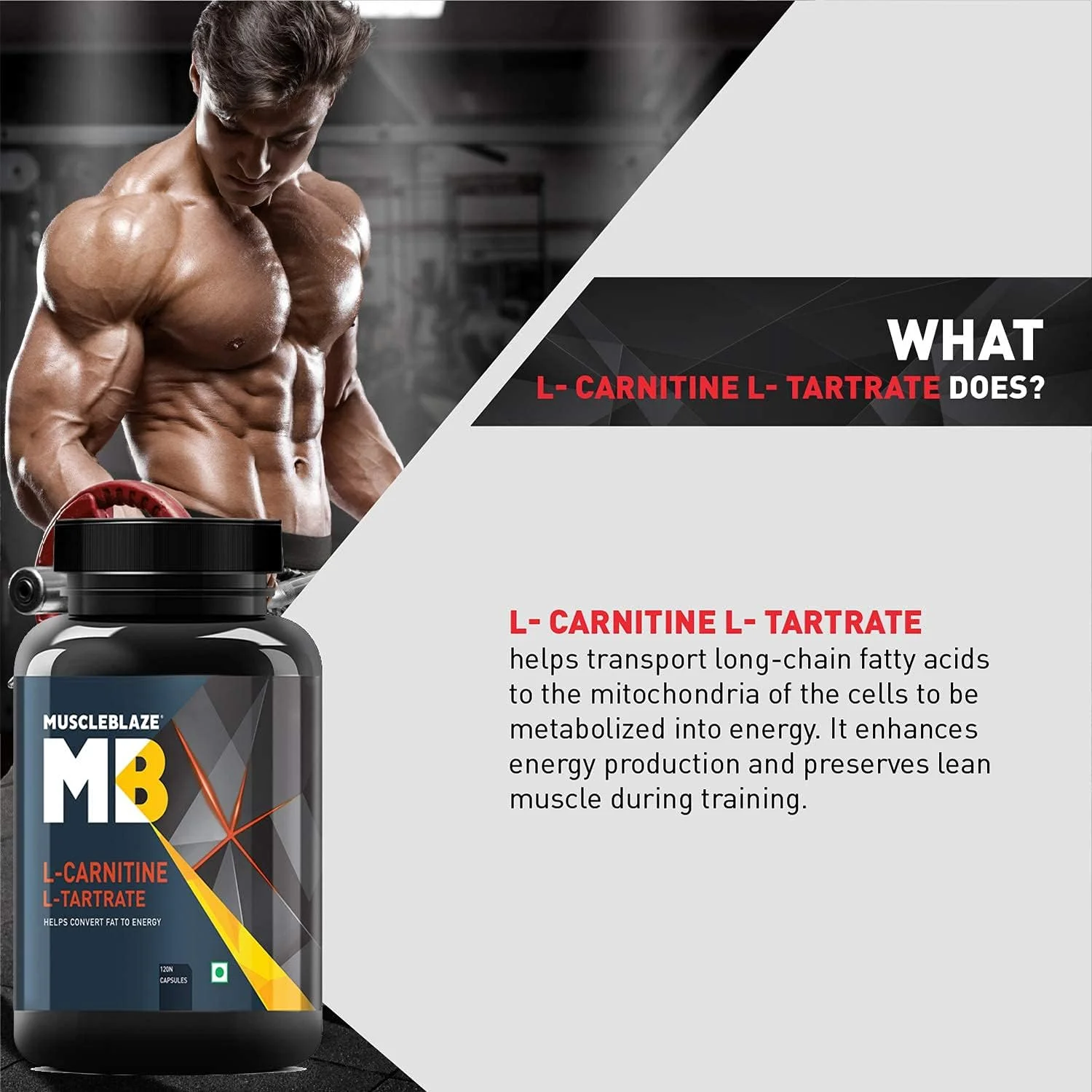 MuscleBlaze ال-کارنیتین ال-تارتارات، 500 میلی گرم ال-کارنیتین، کمک به تبدیل چربی به انرژی (بدون طعم، 120 کپسول)