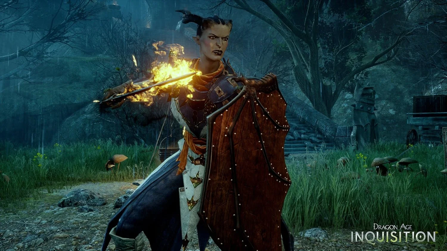 Dragon Age Inquisition - نسخه Deluxe - PC Dragon Age Inquisition - نسخه Deluxe - PC