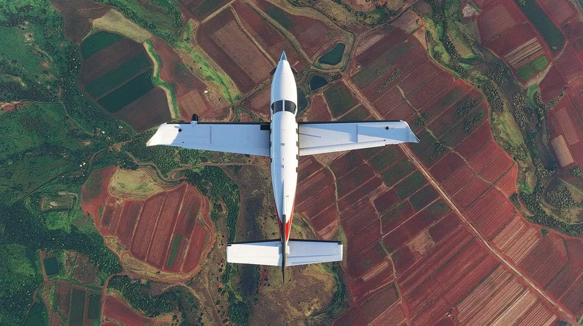 Microsoft Flight Simulator 2020 /PC