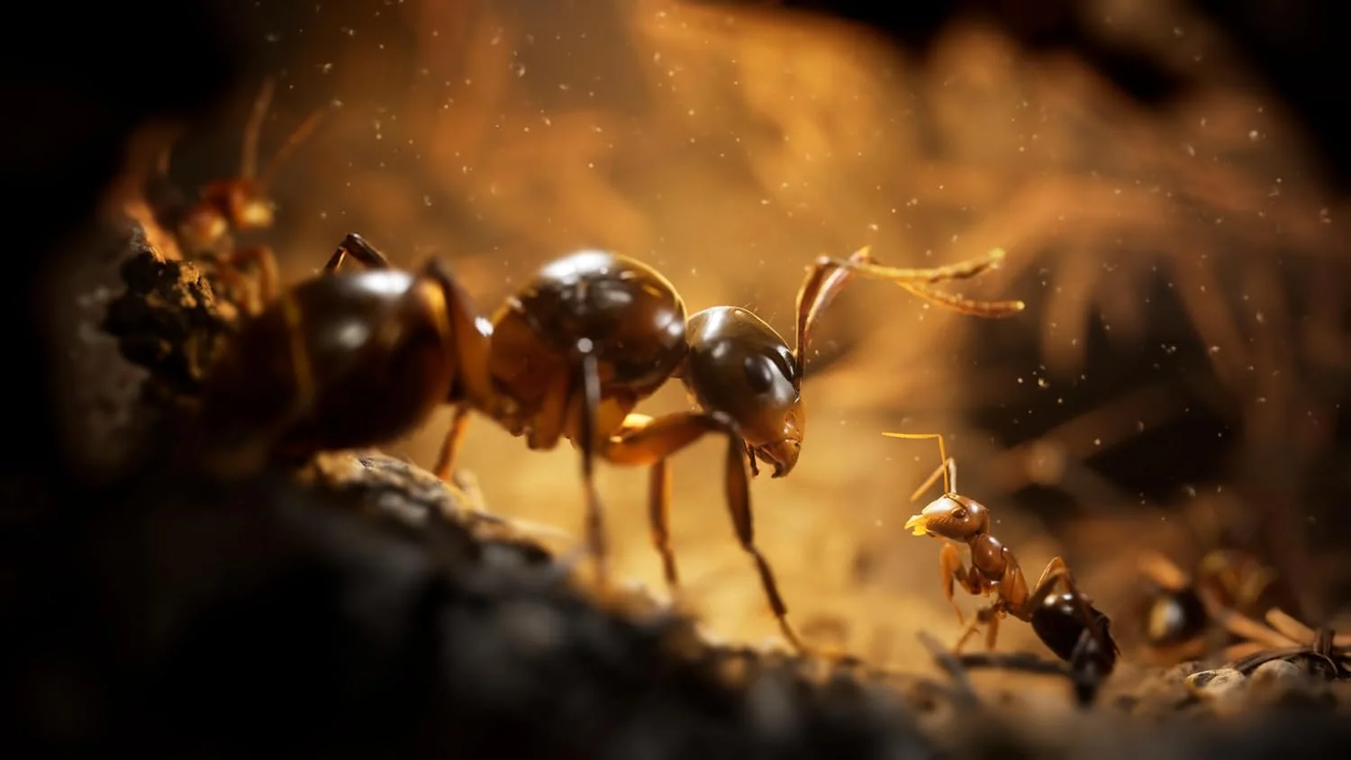 MICROÏDS Empire of the Ants – نسخه محدود PC