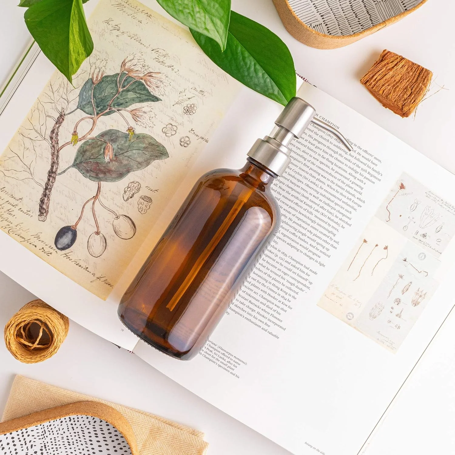 دیسپنسر صابون THE WHITE SHOP، 2 عددی، دیسپنسر صابون شیشه ای کهربایی، پمپ استیل ضد زنگ، لوازم جانبی آشپزخانه حمام، بطری شیشه ای پمپ دیسپنسر لوسیون (نقره ای) دیسپنسر صابون THE WHITE SHOP، 2 عددی، دیسپنسر صابون شیشه ای کهربایی، پمپ استیل ضد زنگ، لوازم جانبی آشپزخانه حمام، بطری شیشه ای پمپ دیسپنسر لوسیون (نقره ای)