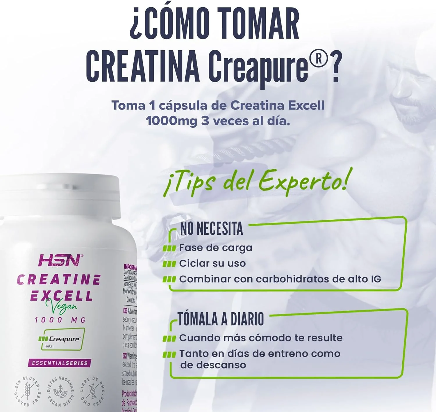 اچ اس ان اسنشیالز کراتین با کیفیت CREAPURE® | ۴۰ سروینگ ۳ گرمی ۱۰۰% کراپور | دارای نشان کیفیت | کراتین مونوهیدرات میکرونیزه | غیر تراریخته، وگان، بدون گلوتن اچ اس ان اسنشیالز کراتین با کیفیت CREAPURE® | ۴۰ سروینگ ۳ گرمی ۱۰۰% کراپور | دارای نشان کیفیت | کراتین مونوهیدرات میکرونیزه | غیر تراریخته، وگان، بدون گلوتن