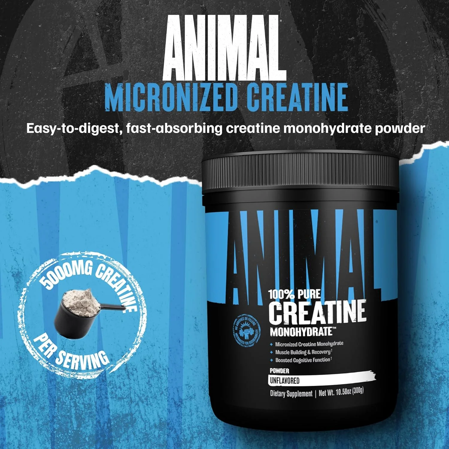 کراتین میکرونیزه Animal - تاخیر در خستگی عضلات، افزایش استقامت، تقویت قدرت - مکمل کراتین مونوهیدرات برای مردان و زنان - 300 گرم