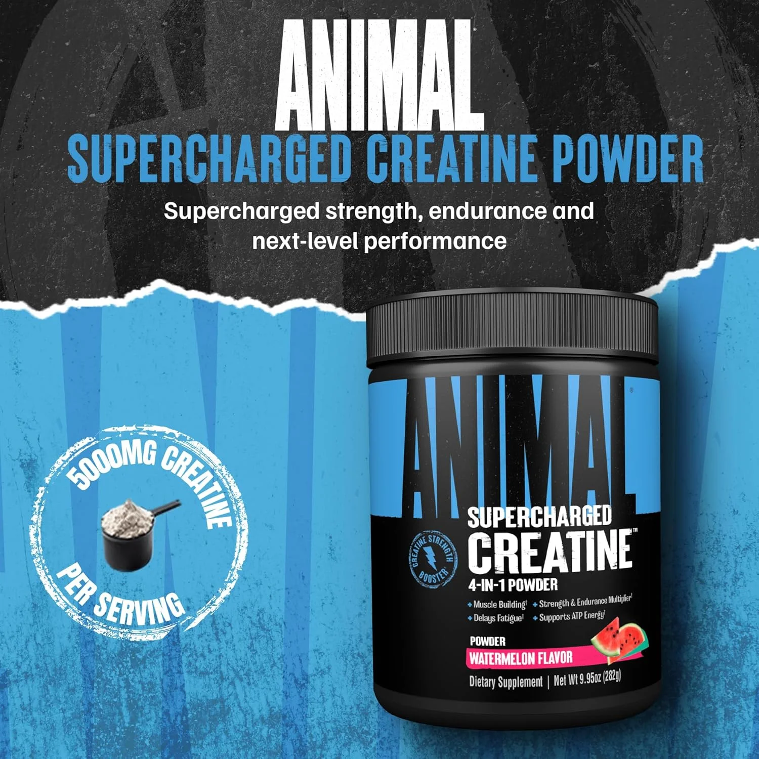 پودر کراتین XL Animal - مکمل کراتین مونوهیدرات تقویت شده به همراه بتائین انهیدروس، PurpleForce و Senactiv - تاخیر در خستگی عضلات، افزایش استقامت، بهبود ریکاوری - هندوانه، 279 گرم