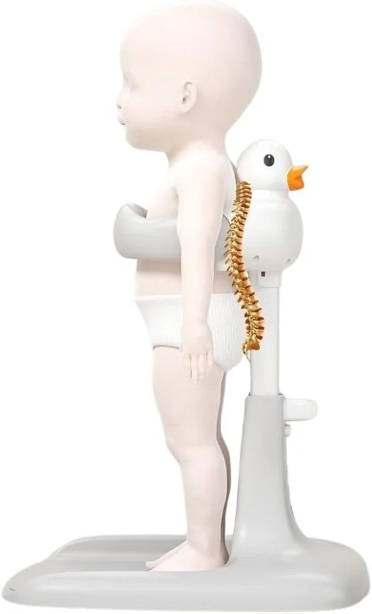 پایه نگهدارنده وان حمام کودک با طرح اردک، پشتیبانی از ستون فقرات، سفید