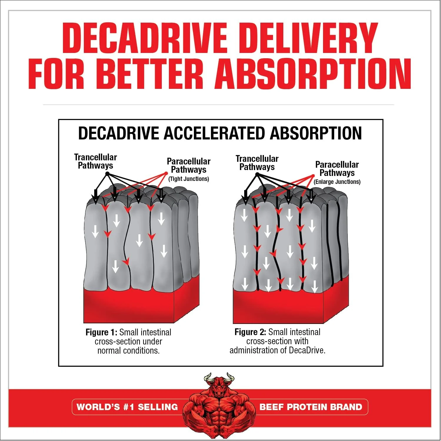 نوشیدنی حین و بعد تمرین MuscleMeds Amino DECANATE، کمپلکس کامل آمینو اسید، لوسین، ریکاوری عضلات، 30 سروینگ (مرکبات لیمویی)
