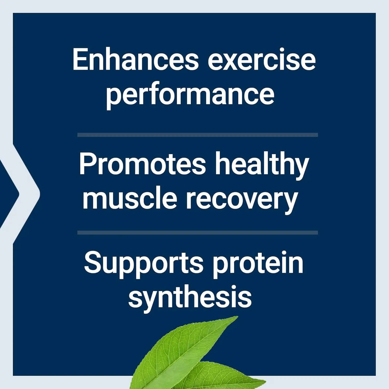 کپسول آمینو اسیدهای شاخه دار لایف اکستنشن 90 عددی کپسول آمینو اسیدهای شاخه دار لایف اکستنشن 90 عددی