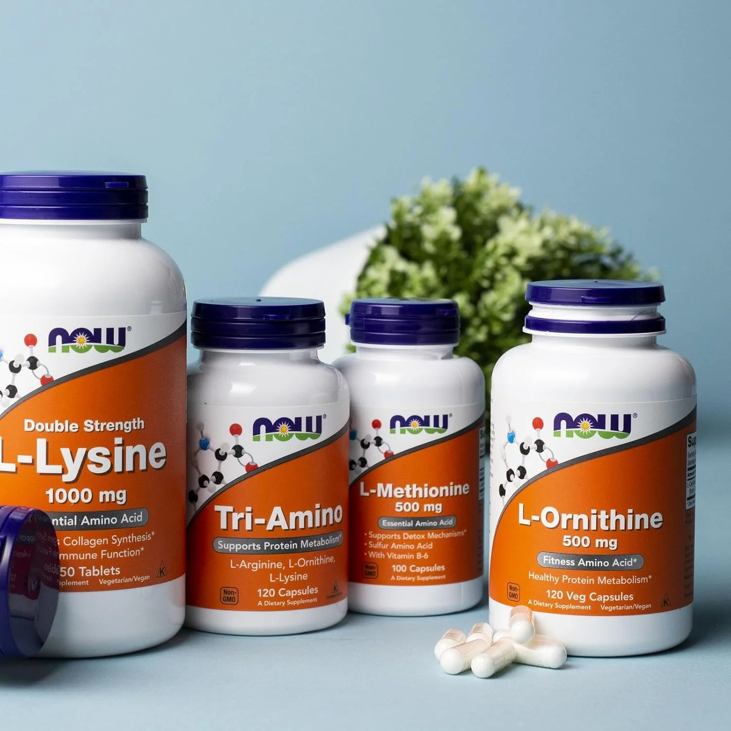NOW Foods - ال-اورنیتین (500 میلی گرم، 120 کپسول)