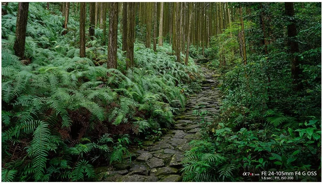 لنز زوم استاندارد سونی FE 24-105mm F4 G OSS (SEL24105G) لنز زوم استاندارد سونی FE 24-105mm F4 G OSS (SEL24105G)