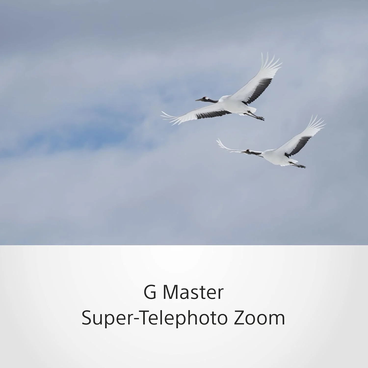 لنز زوم سوپر تله فوتو سونی Fe 100 400mm G Master، Sel100400gm، مشکی، Sel100400gm.Syx لنز زوم سوپر تله فوتو سونی Fe 100 400mm G Master، Sel100400gm، مشکی، Sel100400gm.Syx