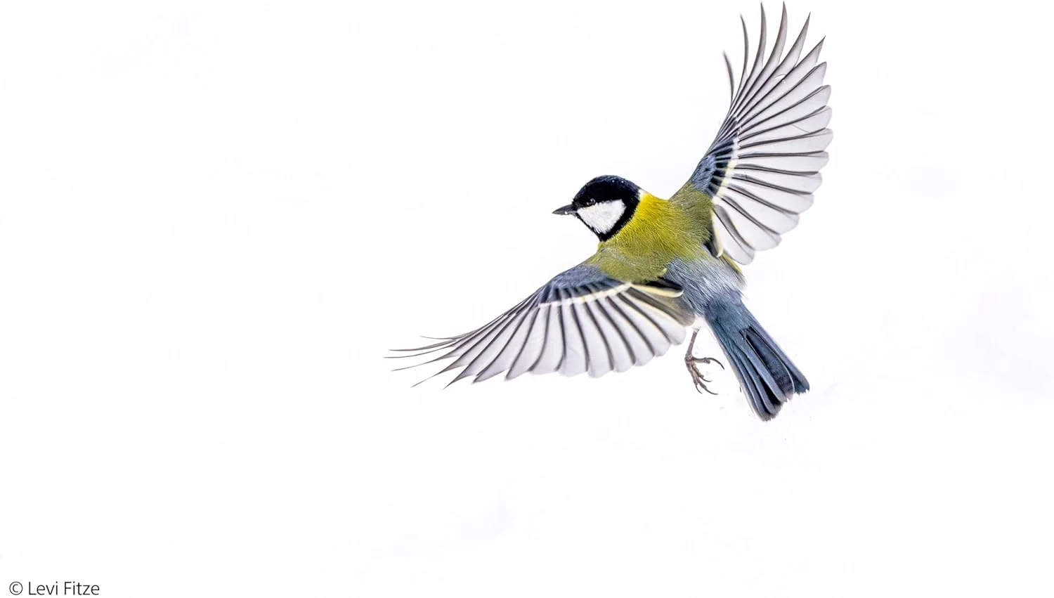 لنز سونی FE 400-800mm F6.3–8 G OSS – زوم سوپر تله فوتو برای دوربین های فول فریم E-Mount بدون آینه لنز سونی FE 400-800mm F6.3–8 G OSS – زوم سوپر تله فوتو برای دوربین های فول فریم E-Mount بدون آینه