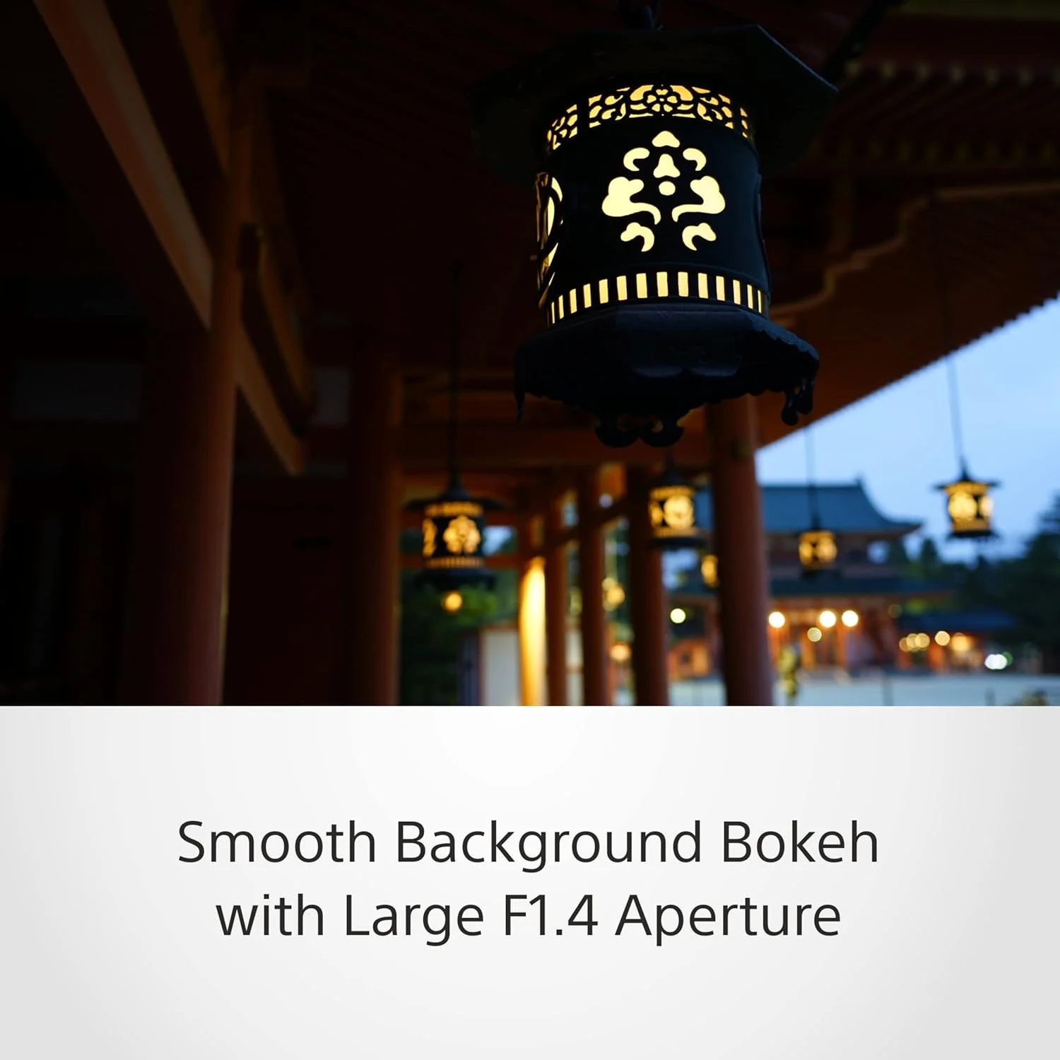 لنز سونی SEL35F14Z E Mount - فول فریم Distagon T* 35mm F1.4 Zeiss لنز سونی SEL35F14Z E Mount - فول فریم Distagon T* 35mm F1.4 Zeiss