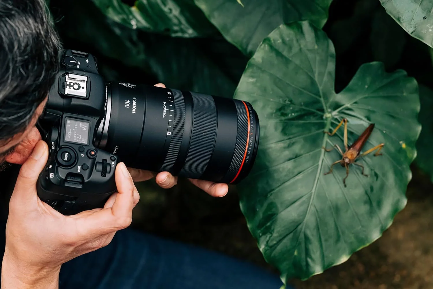 لنز ماکرو حرفه ای Canon RF 100mm F2.8L Macro IS USM برای دوربین های Canon R System لنز ماکرو حرفه ای Canon RF 100mm F2.8L Macro IS USM برای دوربین های Canon R System