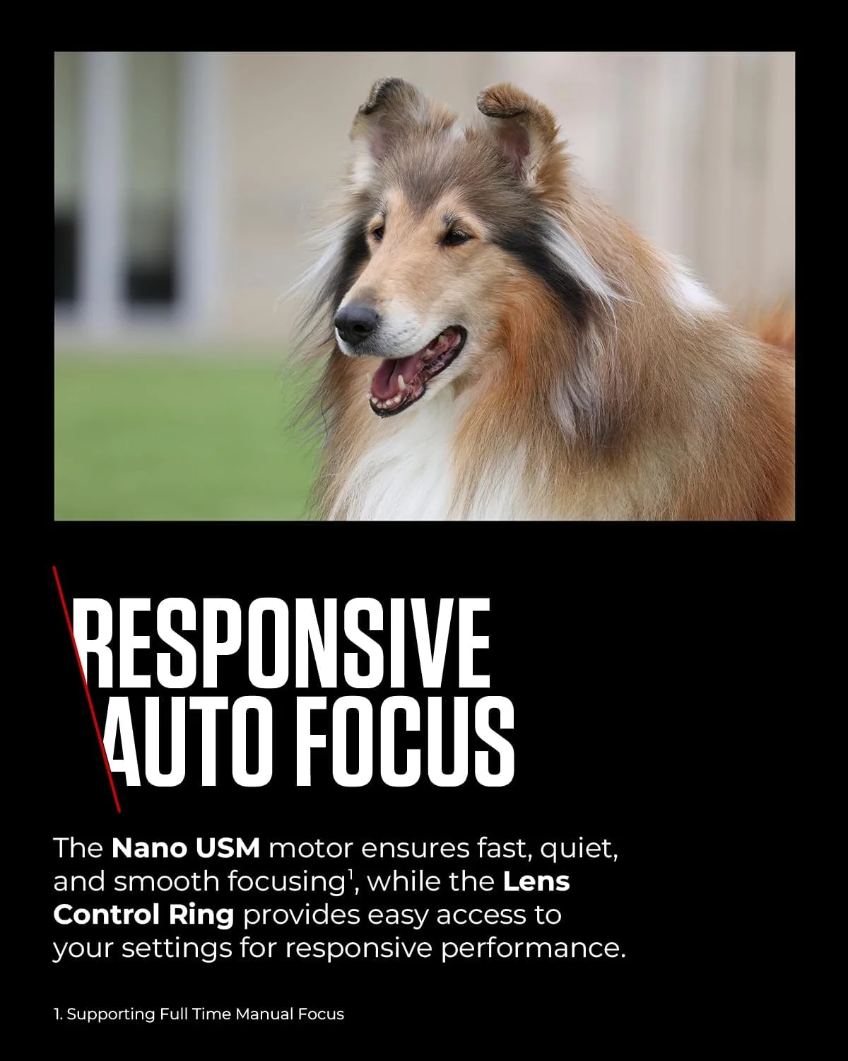 لنز Canon RF 100-400mm F5.6-8 IS USM - لنز برای دوربین های سیستم Canon R، ایده آل برای عکاسی از حیات وحش، ورزش، اکشن و هوانوردی. لنز Canon RF 100-400mm F5.6-8 IS USM - لنز برای دوربین های سیستم Canon R، ایده آل برای عکاسی از حیات وحش، ورزش، اکشن و هوانوردی.