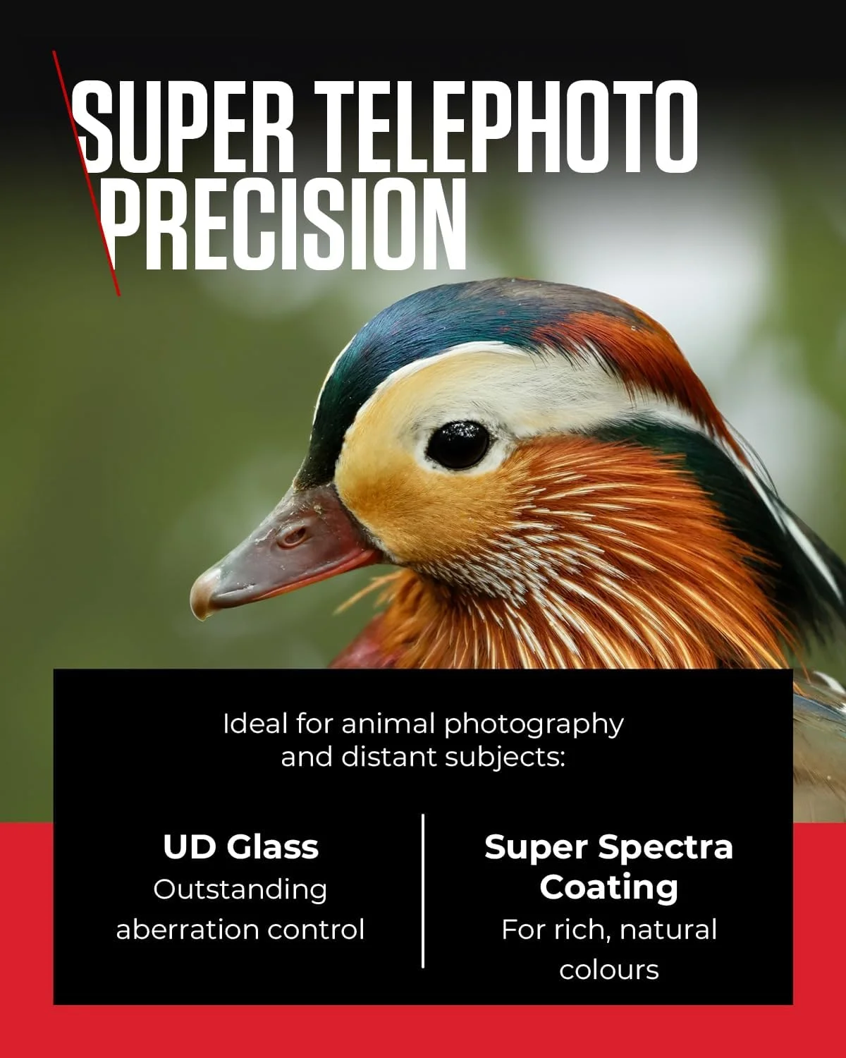 لنز Canon RF 100-400mm F5.6-8 IS USM - لنز برای دوربین های سیستم Canon R، ایده آل برای عکاسی از حیات وحش، ورزش، اکشن و هوانوردی. لنز Canon RF 100-400mm F5.6-8 IS USM - لنز برای دوربین های سیستم Canon R، ایده آل برای عکاسی از حیات وحش، ورزش، اکشن و هوانوردی.