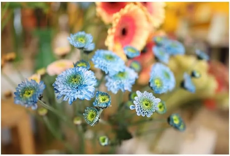 لنز کانن RF 24mm F1.4L VCM لنز کانن RF 24mm F1.4L VCM