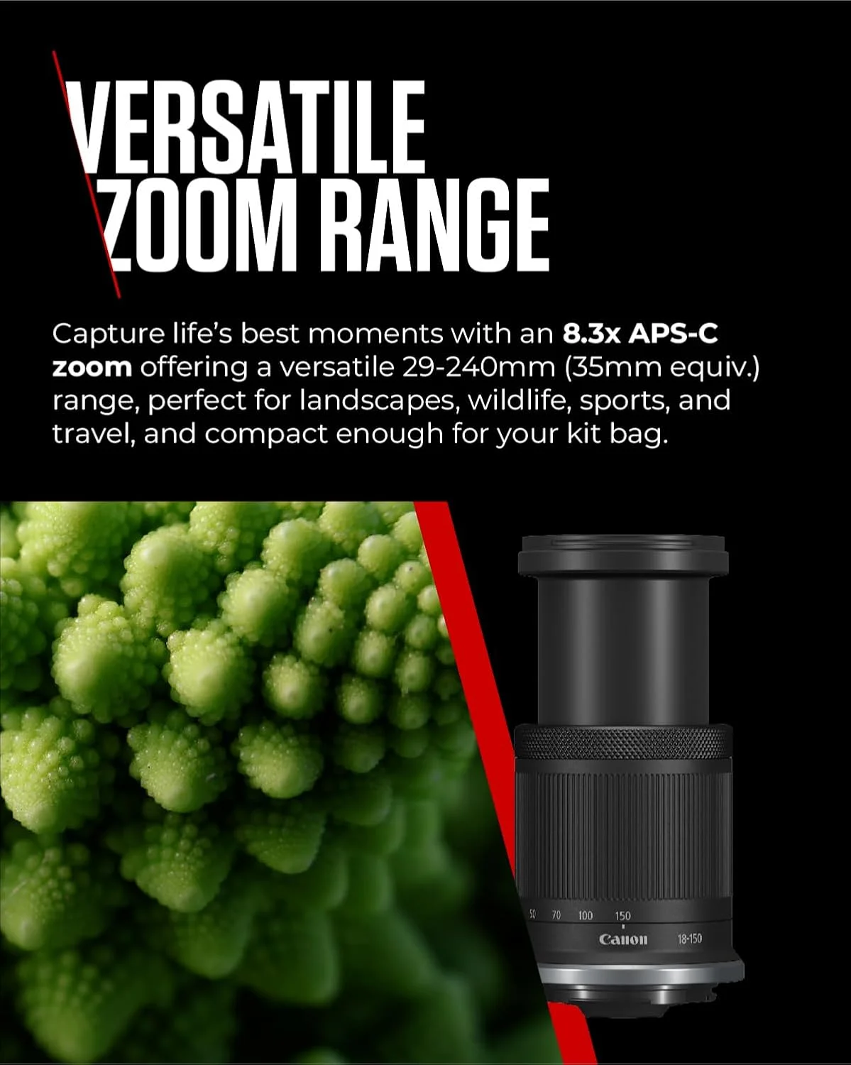 لنز Canon RF-S 18-150 mm F3.5-6.3 IS STM - لنز زوم با تثبیت کننده 4.5 مرحله ای برای عکاسی مسافرتی و طبیعت سازگار با سیستم EOS R لنز Canon RF-S 18-150 mm F3.5-6.3 IS STM - لنز زوم با تثبیت کننده 4.5 مرحله ای برای عکاسی مسافرتی و طبیعت سازگار با سیستم EOS R