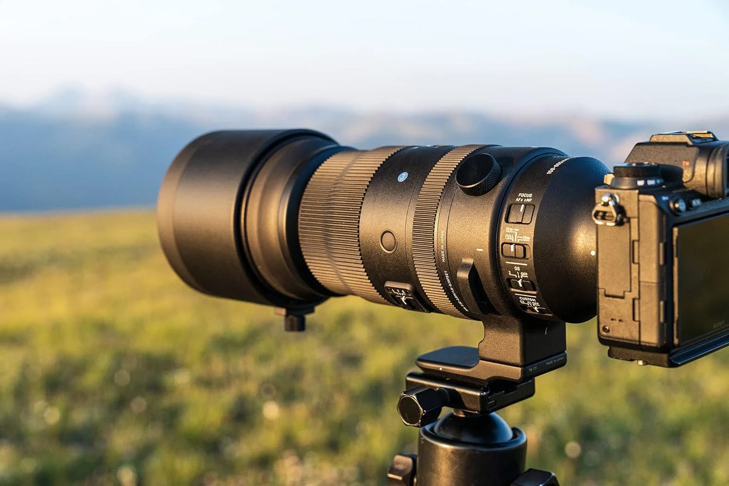 سیگما کورپوریشن آمریکا لنز 150-600mm F5/-6.3 DG DN برای سونی E، مشکی، 747965