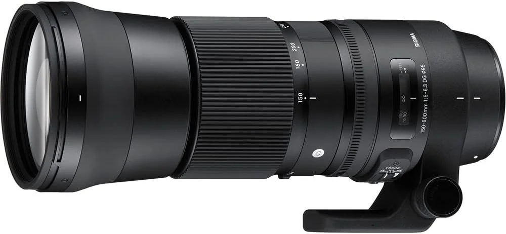 لنز سیگما 150-600mm f/5-6.3 DG OS HSM برای Canon EF (745-101) باندل: کارت حافظه 64 گیگابایتی، کارت خوان، کوله پشتی، کیت فیلتر، کیت تمیز کننده کامل، پوشش محافظ، پایه لنز، کیف لنز و موارد دیگر لنز سیگما 150-600mm f/5-6.3 DG OS HSM برای Canon EF (745-101) باندل: کارت حافظه 64 گیگابایتی، کارت خوان، کوله پشتی، کیت فیلتر، کیت تمیز کننده کامل، پوشش محافظ، پایه لنز، کیف لنز و موارد دیگر