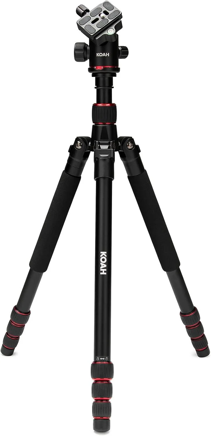 لنز سیگما 70-200mm f/2.8 DG OS HSM Sport برای Nikon F-Mount به همراه داک USB، سه پایه با سر توپی 360 درجه، کارت حافظه SD 64 گیگابایتی، کیف دوربین و فیلتر لنز (6 قطعه) لنز سیگما 70-200mm f/2.8 DG OS HSM Sport برای Nikon F-Mount به همراه داک USB، سه پایه با سر توپی 360 درجه، کارت حافظه SD 64 گیگابایتی، کیف دوربین و فیلتر لنز (6 قطعه)