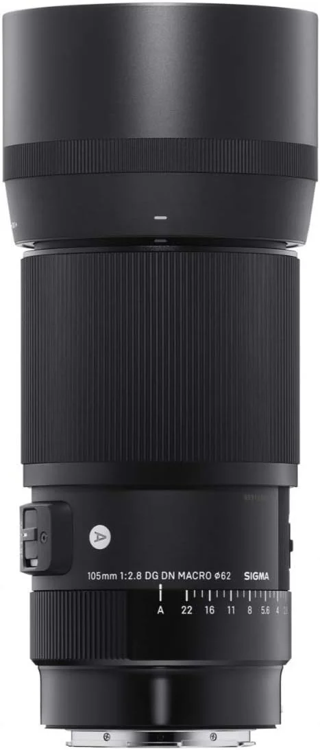 لنز سیگما 105mm f/2.8 DG DN Macro Art برای Sony E به همراه کارت حافظه SD 64GB و کیف دوربین Koah Messenger به همراه لوازم جانبی (4 قطعه) لنز سیگما 105mm f/2.8 DG DN Macro Art برای Sony E به همراه کارت حافظه SD 64GB و کیف دوربین Koah Messenger به همراه لوازم جانبی (4 قطعه)