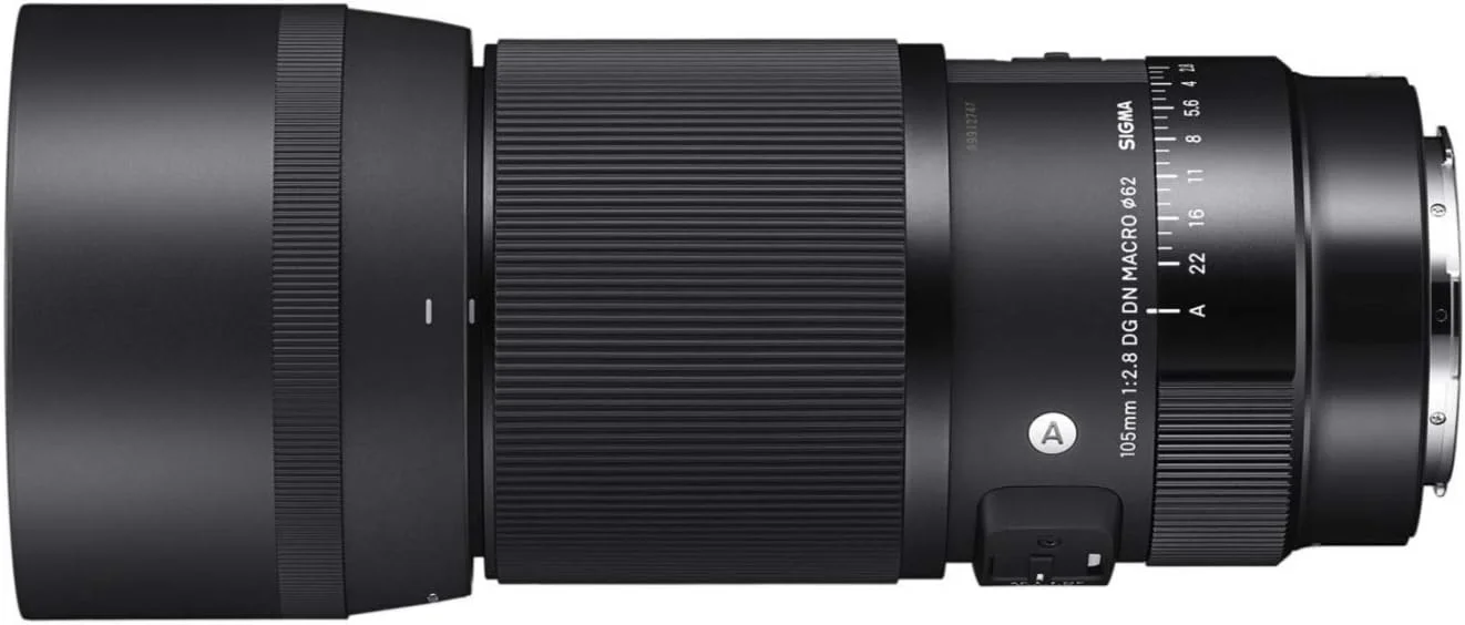 لنز سیگما 105mm f/2.8 DG DN Macro Art برای Sony E به همراه کارت حافظه SD 64GB و کیف دوربین Koah Messenger به همراه لوازم جانبی (4 قطعه) لنز سیگما 105mm f/2.8 DG DN Macro Art برای Sony E به همراه کارت حافظه SD 64GB و کیف دوربین Koah Messenger به همراه لوازم جانبی (4 قطعه)