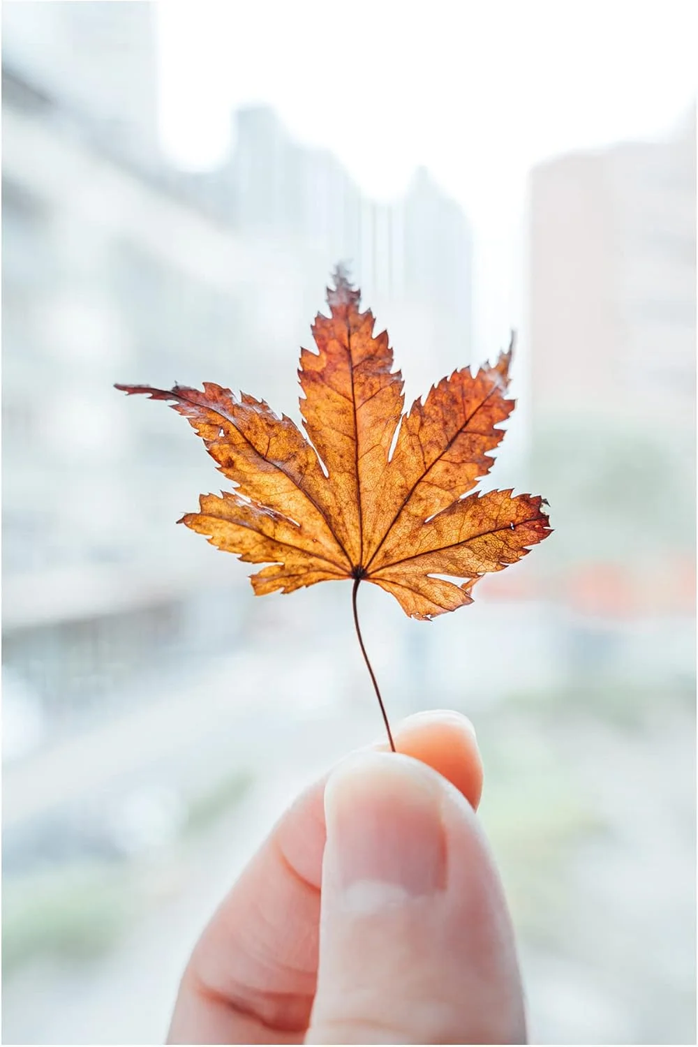 لنز نیکون NIKKOR Z 28-75mm f/2.8 لنز نیکون NIKKOR Z 28-75mm f/2.8