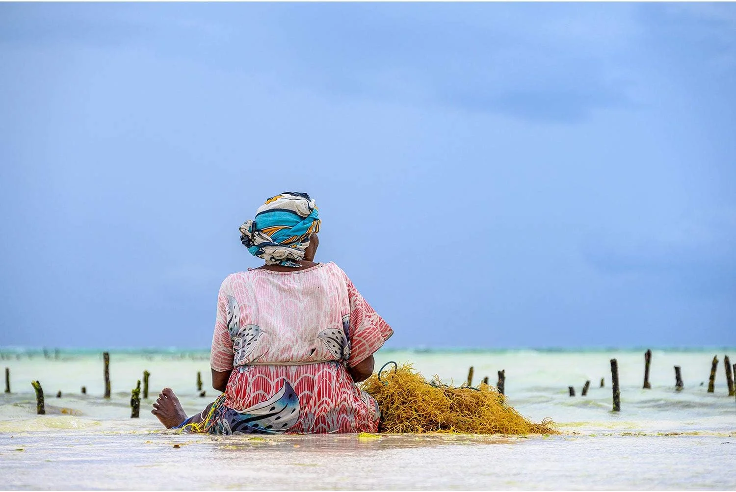 لنز نیکون NIKKOR Z 24-200mm f/4-6.3 VR S لنز نیکون NIKKOR Z 24-200mm f/4-6.3 VR S