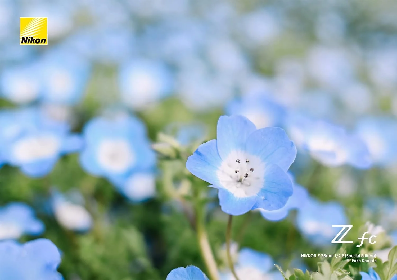 لنز نیکون NIKKOR Z 28mm f/2.8 SE لنز نیکون NIKKOR Z 28mm f/2.8 SE