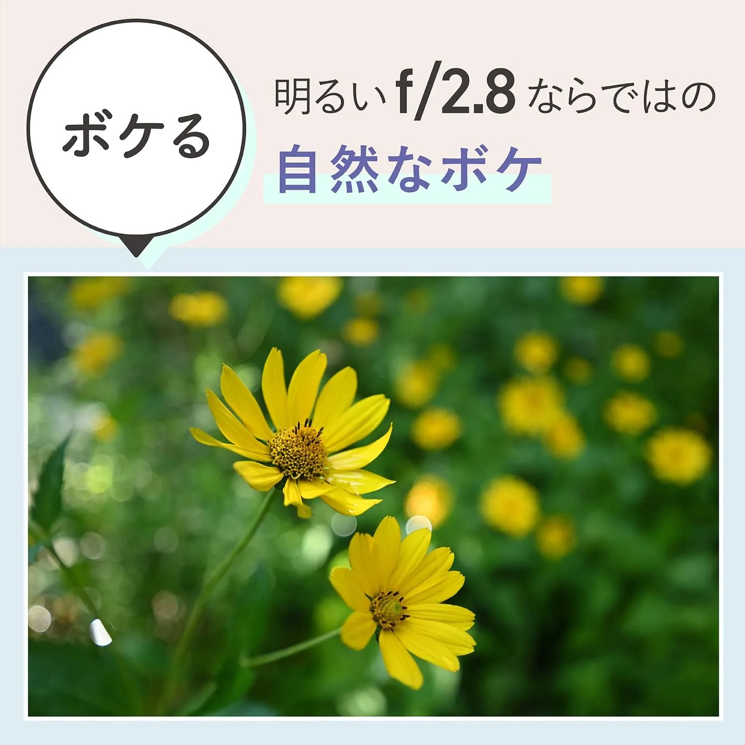 لنز نیکون Z 17-28mm f/2.8 لنز نیکون Z 17-28mm f/2.8