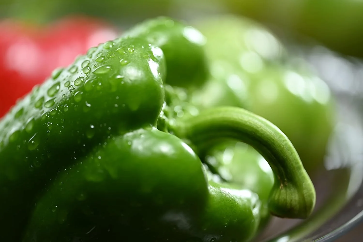 لنز نیکون NIKKOR Z MC 105mm f/2.8 VR S لنز نیکون NIKKOR Z MC 105mm f/2.8 VR S