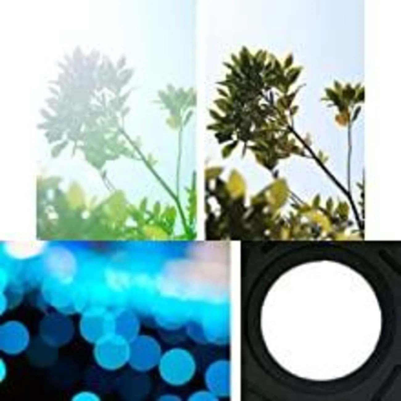 لنز سیگما 24-70mm f/2.8 DG OS HSM Art نیکون لنز سیگما 24-70mm f/2.8 DG OS HSM Art نیکون