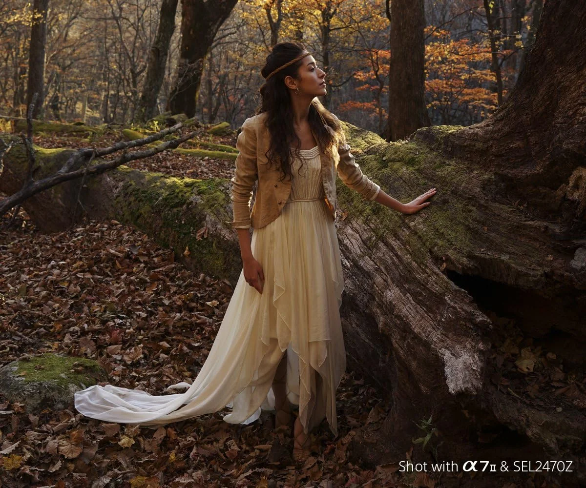 لنز سونی FE 24 70mm f/4 ZA OSS Vario Tessar T، مشکی، SEL2470Z لنز سونی FE 24 70mm f/4 ZA OSS Vario Tessar T، مشکی، SEL2470Z