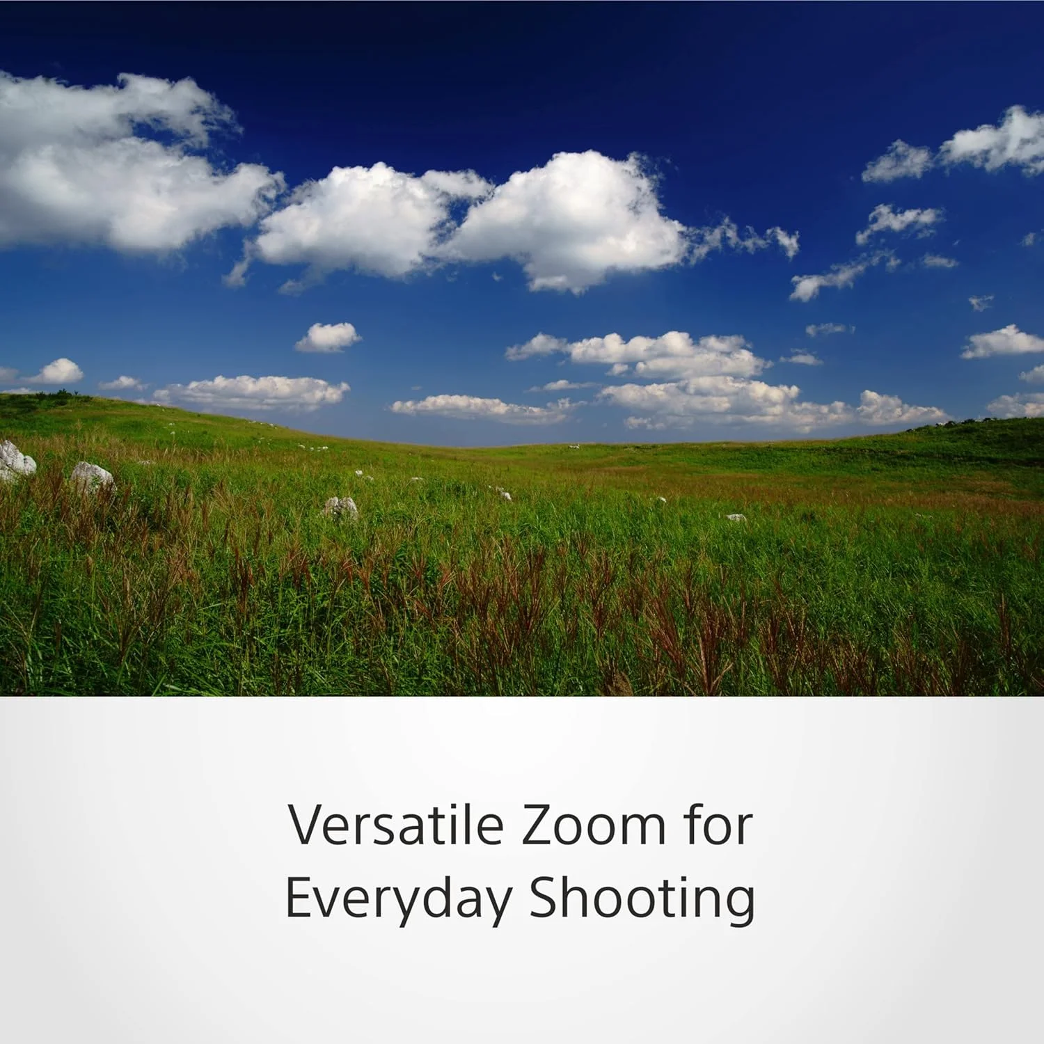 لنز سونی FE 24 70mm f/4 ZA OSS Vario Tessar T، مشکی، SEL2470Z لنز سونی FE 24 70mm f/4 ZA OSS Vario Tessar T، مشکی، SEL2470Z