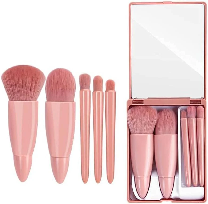 Shrux 5pcs Mini Complete Function Cosmetic Brushes Set with Makeup Mirror//Lip Brush,Blending Powder Brush, Eye shadow Brush // Synthetic Foundation Brush Kit with Storage Box(1pcs)(Multicolor)