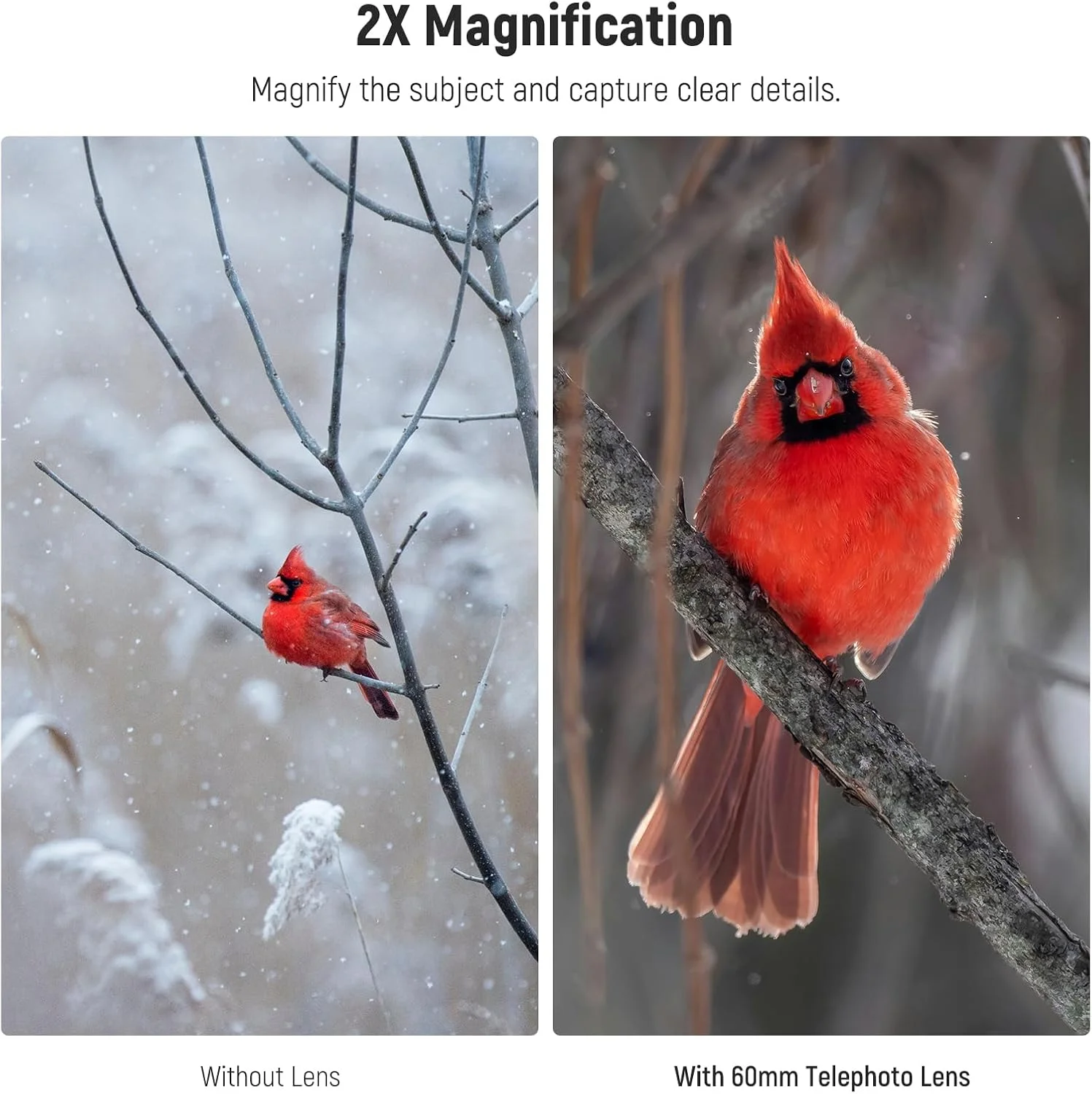 لنز تله فوتو 60 میلی‌متری NEEWER با بزرگنمایی 2 برابر، گیره لنز پیچی 17 میلی‌متری و حلقه آداپتور فیلتر 67 میلی‌متری برای لنز گوشی‌های هوشمند و لنز دوربین سازگار با آیفون سامسونگ LS-41 PRO