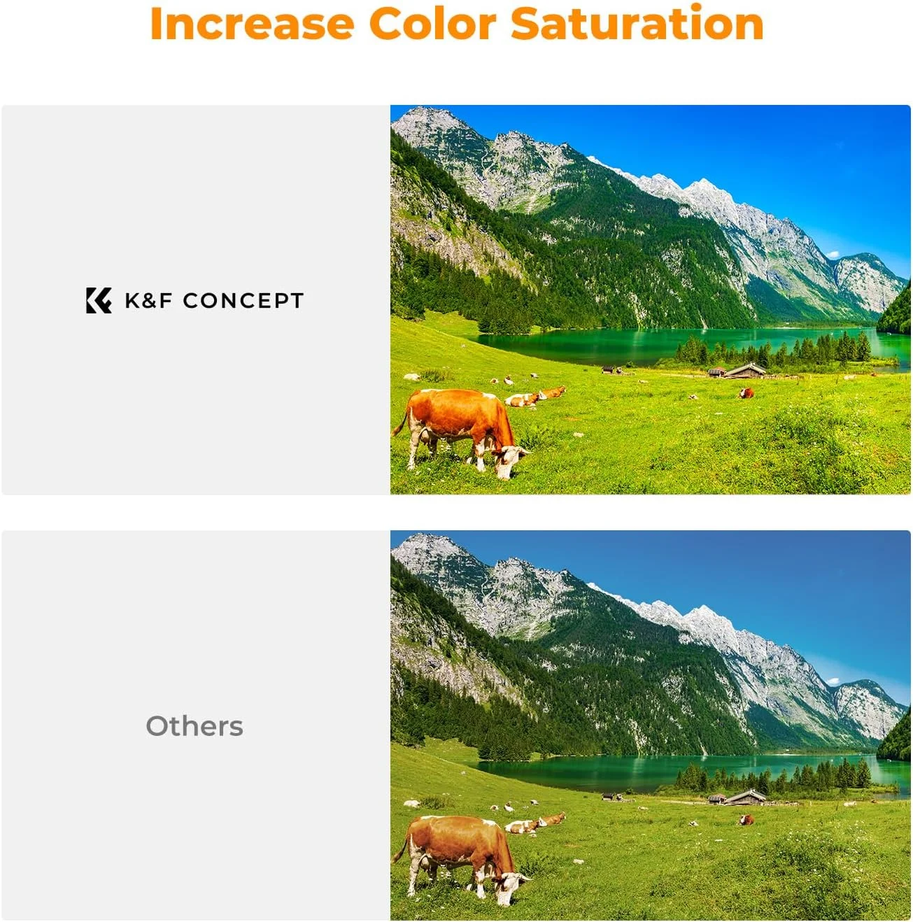 فیلتر پلاریزه دایره ای 72 میلی متری K&F Concept سوپر اسلیم با 36 پوشش چند لایه، فیلتر پلاریزه دایره ای با کیفیت بالا (CPL) فیلتر لنز دوربین (سری Nano-X PRO) فیلتر پلاریزه دایره ای 72 میلی متری K&F Concept سوپر اسلیم با 36 پوشش چند لایه، فیلتر پلاریزه دایره ای با کیفیت بالا (CPL) فیلتر لنز دوربین (سری Nano-X PRO)