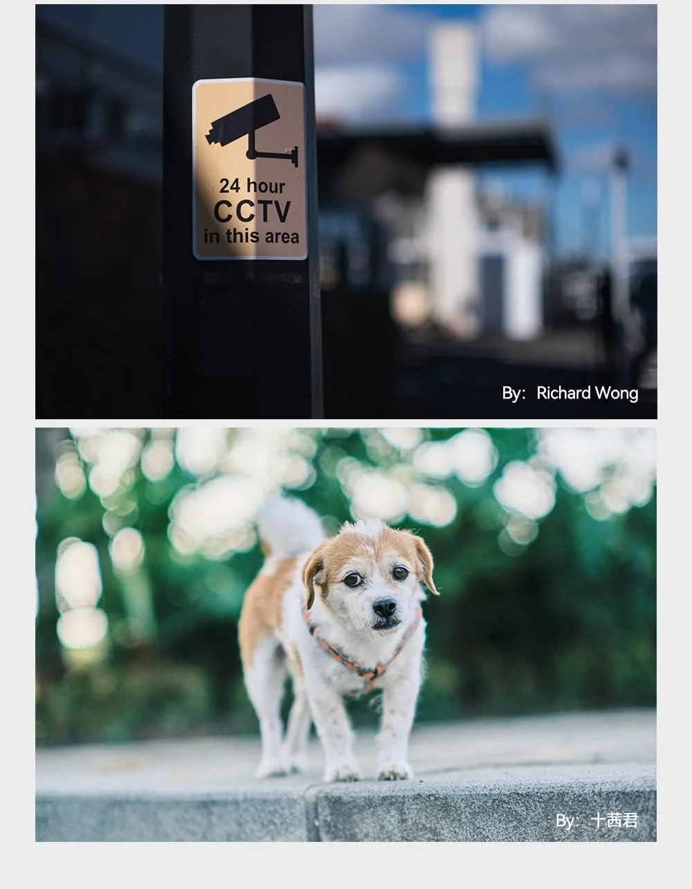 لنز دستی 50mm F0.95 APS-C تی تی آرتيزان با طول پرتره، مناسب برای دوربین های نیکون با مانت Z سازگار با Z50 ZFC Z5 Z6 Z7 Z6II Z7II لنز دستی 50mm F0.95 APS-C تی تی آرتيزان با طول پرتره، مناسب برای دوربین های نیکون با مانت Z سازگار با Z50 ZFC Z5 Z6 Z7 Z6II Z7II