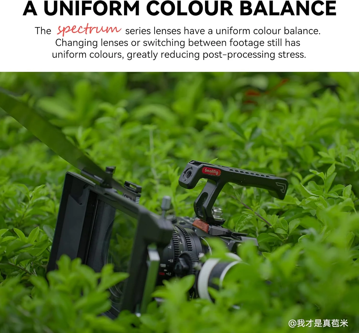 لنز سینمایی 7artisans 50mm T2.0 با دیافراگم باز و فریم کامل، سازگار با Nikon Z-Mount، لنز سینمایی با فوکوس دستی و اعوجاج کم برای دوربین های بدون آینه Nikon Z5 Z6 Z7 Z9 Z50 Z6II Z7II ZFC، مشکی لنز سینمایی 7artisans 50mm T2.0 با دیافراگم باز و فریم کامل، سازگار با Nikon Z-Mount، لنز سینمایی با فوکوس دستی و اعوجاج کم برای دوربین های بدون آینه Nikon Z5 Z6 Z7 Z9 Z50 Z6II Z7II ZFC، مشکی