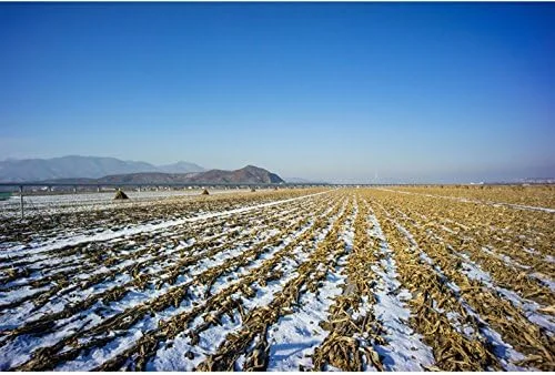 لنز زاویه باز فوق العاده 7artisans 12mm f2.8 برای دوربین های بدون آینه سونی با مانت E و حسگر APS-C مدل های A6500 A6300 A6000 A6500 A6300 A7 لنز پرایم ثابت با فوکوس دستی