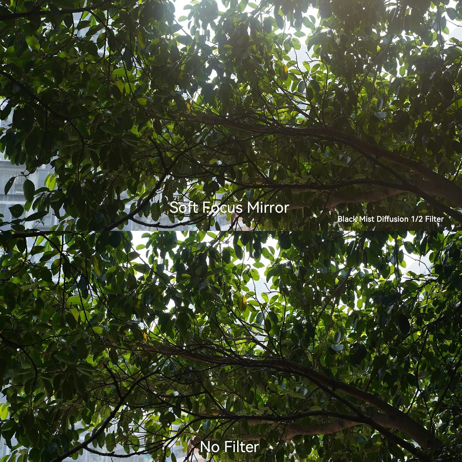 فیلتر مه سیاه 7artisans 1/2 آلیاژ آلومینیوم، پخش کننده نرم طبیعی، جلوه سینمایی رویایی، فیلتر شیشه ای اپتیکال با فوکوس نرم (82 میلی متر) فیلتر مه سیاه 7artisans 1/2 آلیاژ آلومینیوم، پخش کننده نرم طبیعی، جلوه سینمایی رویایی، فیلتر شیشه ای اپتیکال با فوکوس نرم (82 میلی متر)