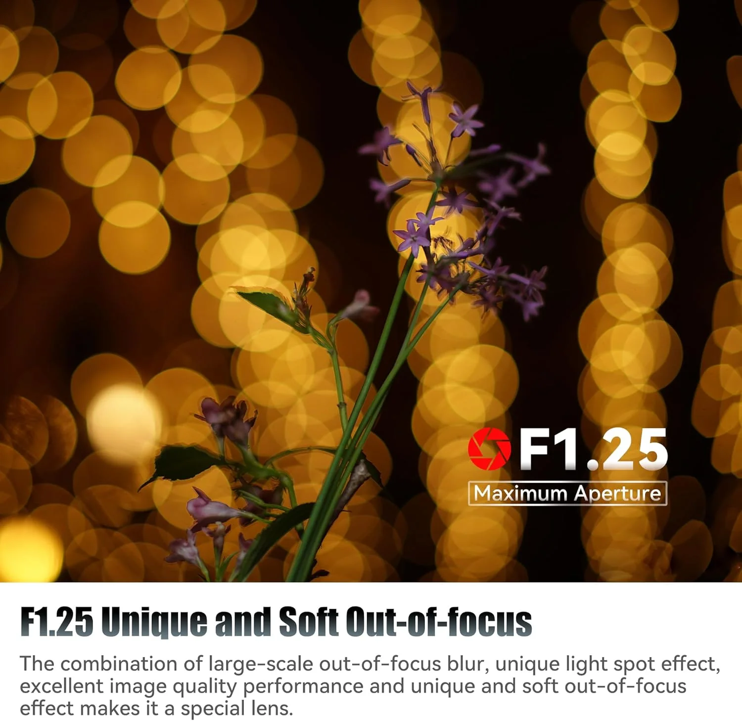 لنز 7artisans 75mm F1.25 سازگار با دوربین های Leica M-Mount مانند Leica M-M Leica M240 M3 M6 M7 M8 M9 M9p M10 لنز 7artisans 75mm F1.25 سازگار با دوربین های Leica M-Mount مانند Leica M-M Leica M240 M3 M6 M7 M8 M9 M9p M10