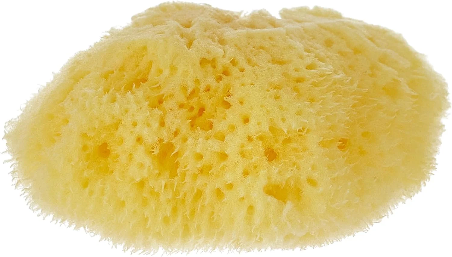 اسفنج دریایی آرایشی Beautytime، 100% طبیعی، ملایم و سازگار با پوست، موثر برای پاکسازی روزانه، چند منظوره، قابل استفاده مجدد و بادوام اسفنج دریایی آرایشی Beautytime، 100% طبیعی، ملایم و سازگار با پوست، موثر برای پاکسازی روزانه، چند منظوره، قابل استفاده مجدد و بادوام
