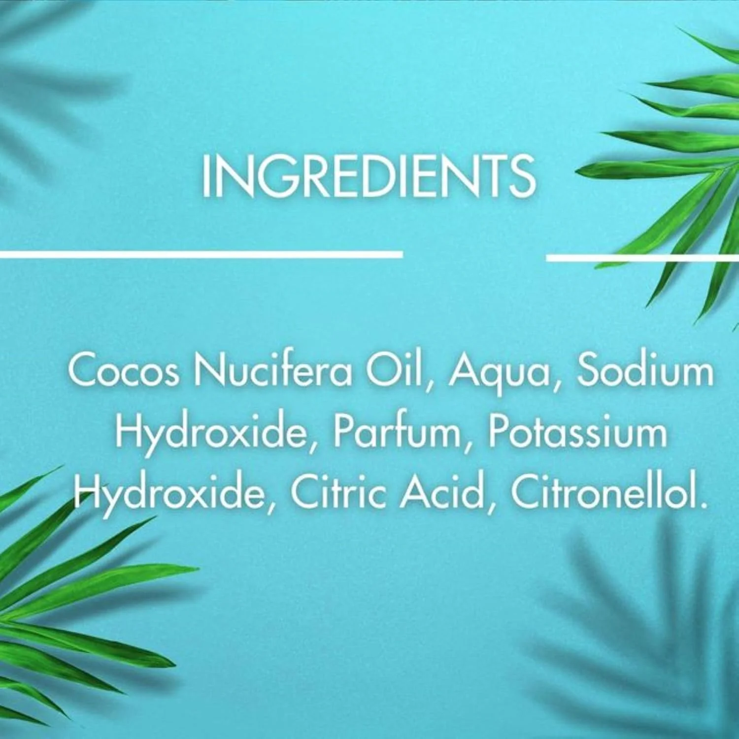 صابون برس و اسفنج بلندر سینما سکرت، گیاهی و طبیعی، بر پایه روغن نارگیل، به همراه اسکرابر صابون برس و اسفنج بلندر سینما سکرت، گیاهی و طبیعی، بر پایه روغن نارگیل، به همراه اسکرابر