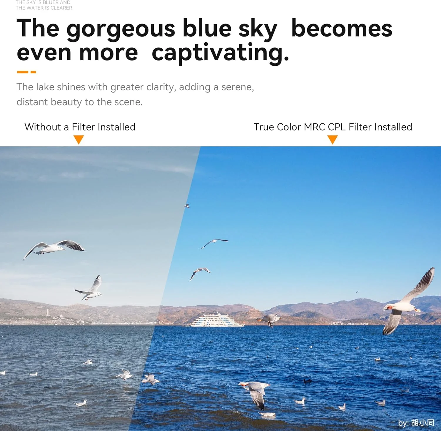 7artisans True Color CPL 46/49/52/55/58//62/67/72/77/82mm Polarizer Camera Lens Filter Multi-Layer Coating for Camera Lenses (77mm)