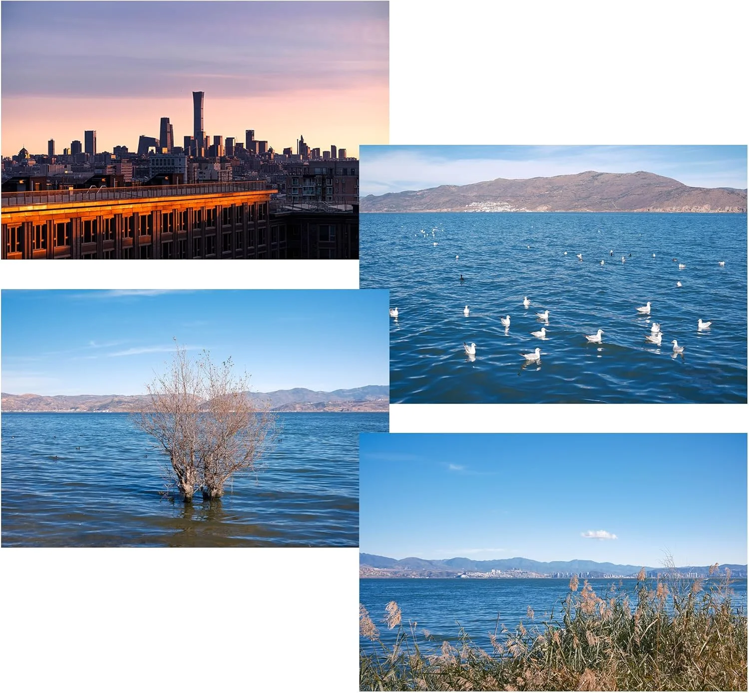 7artisans True Color CPL 46/49/52/55/58//62/67/72/77/82mm Polarizer Camera Lens Filter Multi-Layer Coating for Camera Lenses (77mm)