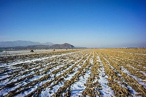 لنز ثابت دستی واید انگل 7artisans با فاصله کانونی 12 میلیمتر و دیافراگم F2.8 APS-C برای دوربینهای Sony E-Mount مانند Sony NEX-6R NEX-7 A3000 A5000 A5100 A6000 A6300 A6500 لنز ثابت دستی واید انگل 7artisans با فاصله کانونی 12 میلیمتر و دیافراگم F2.8 APS-C برای دوربینهای Sony E-Mount مانند Sony NEX-6R NEX-7 A3000 A5000 A5100 A6000 A6300 A6500