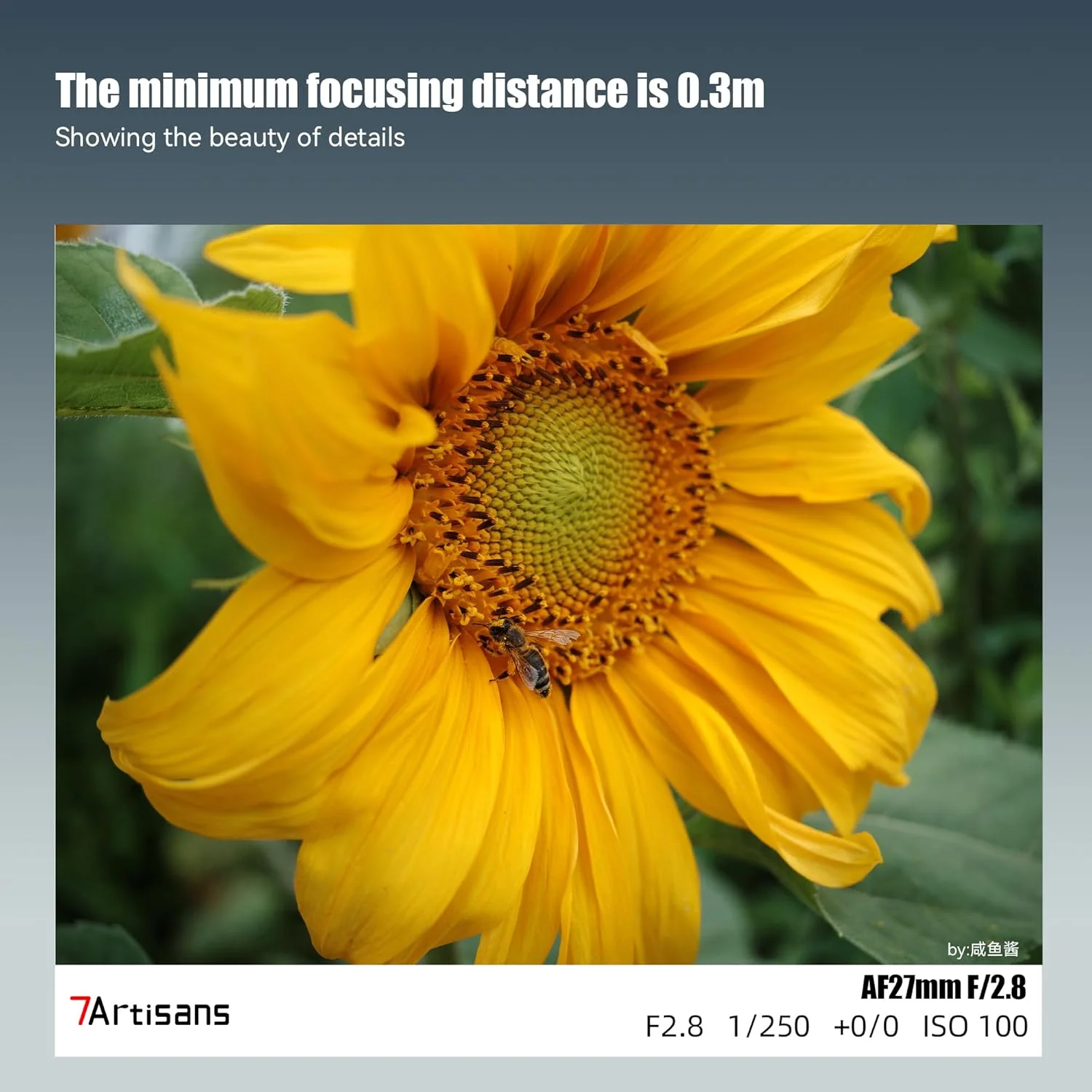 لنز 7artisans AutoFocus 27mm F2.8 APS-C، دیافراگم بزرگ F2.8، پشتیبانی از دیافراگم خودکار/دستی و تشخیص چهره/چشم، سازگار با Nikon Z Mount Z50/Z30 لنز 7artisans AutoFocus 27mm F2.8 APS-C، دیافراگم بزرگ F2.8، پشتیبانی از دیافراگم خودکار/دستی و تشخیص چهره/چشم، سازگار با Nikon Z Mount Z50/Z30