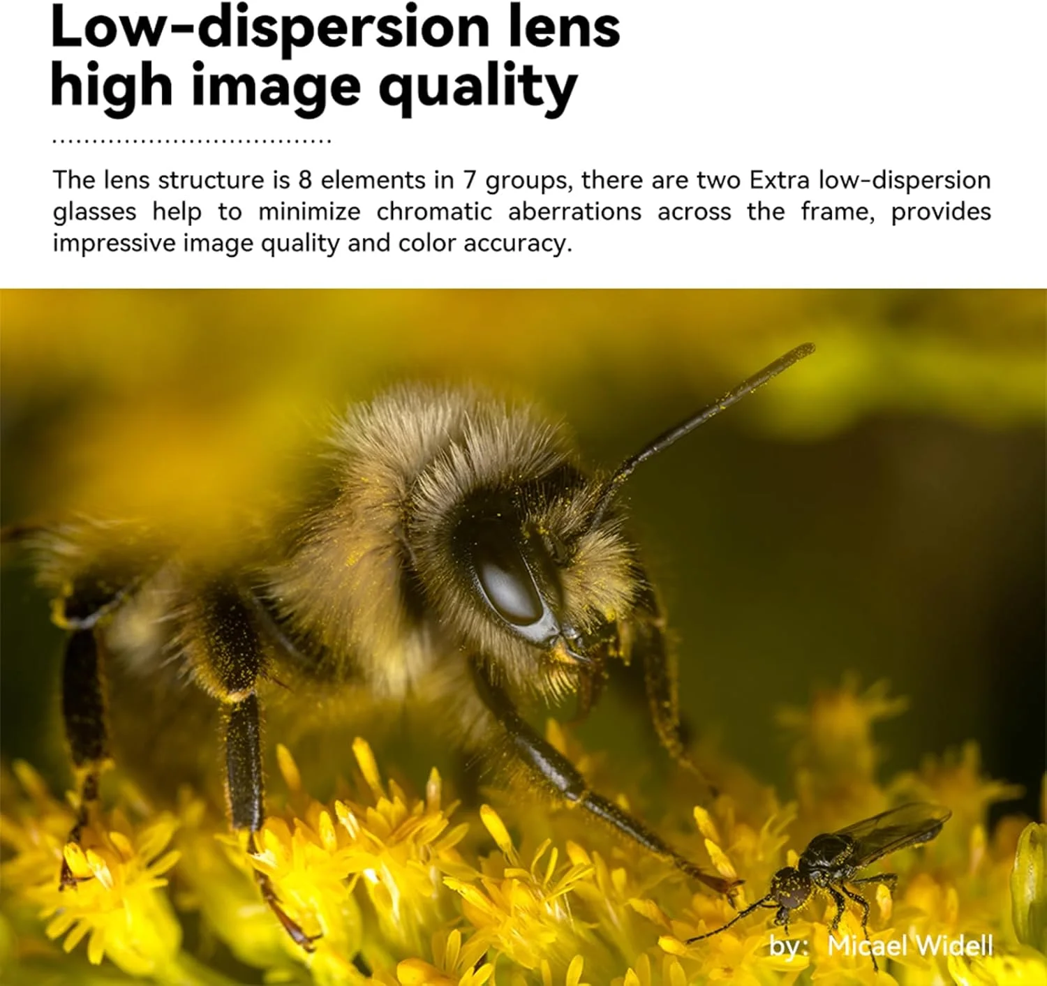 لنز دوربین TTArtisan 40mm F2.8 APS-C (مانت E، مشکی)